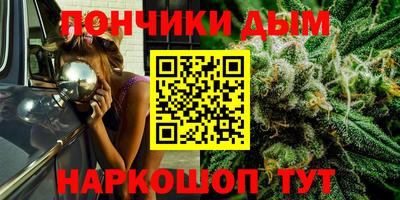 прущие грибы Апшеронск
