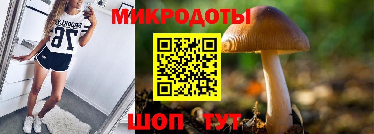 Берёзовский  Псилоцибиновые грибы Cubensis  Вход с VPN 